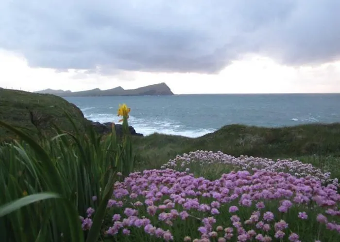 Bed & Breakfast An Dooneen, The Hurley Farm