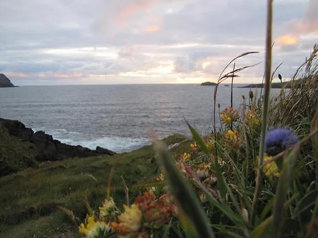 An Dooneen, The Hurley Farm